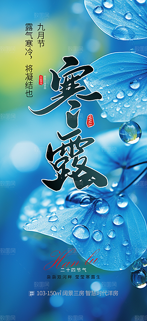 简约风传统寒露二十四节气海报