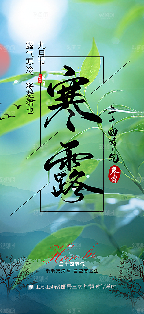 简约风传统寒露二十四节气海报