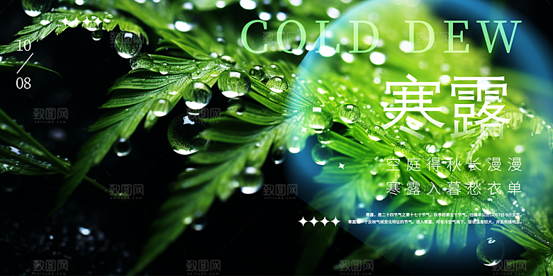 寒露二十四节气展板