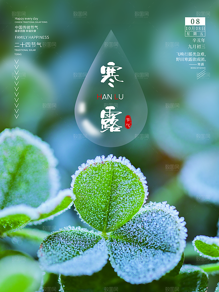 寒露节气简约大气海报