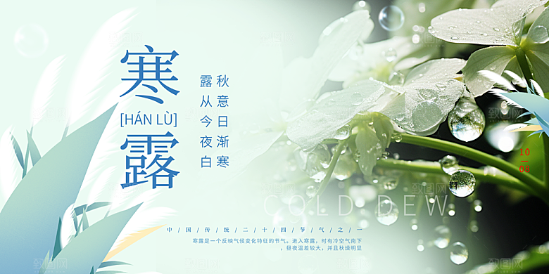 传统寒露二十四节气展板