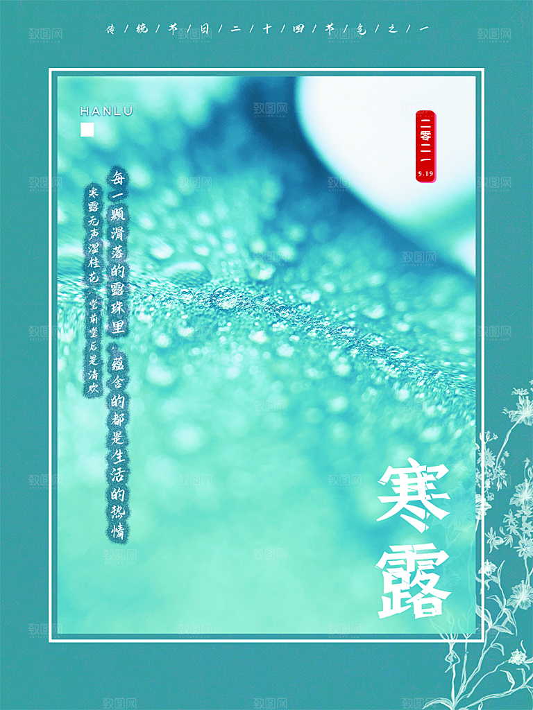 寒露节气简约大气海报