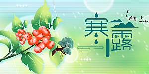 传统寒露二十四节气展板