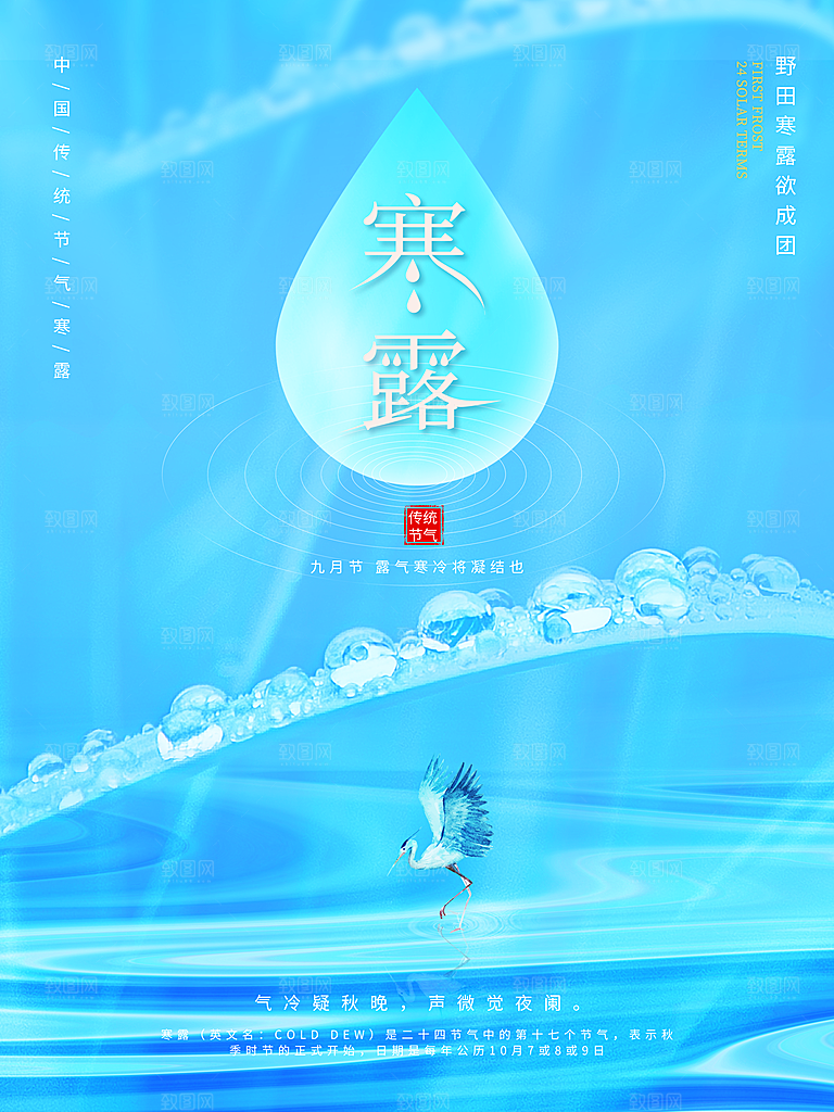 寒露节气简约大气海报