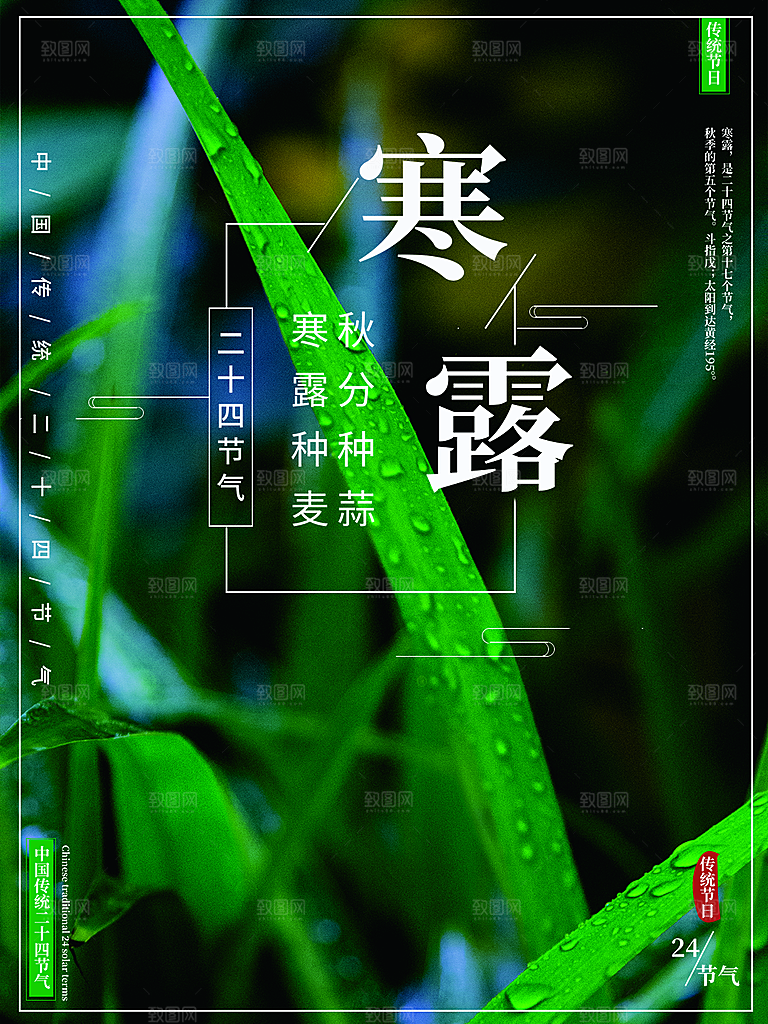 寒露节气简约大气海报