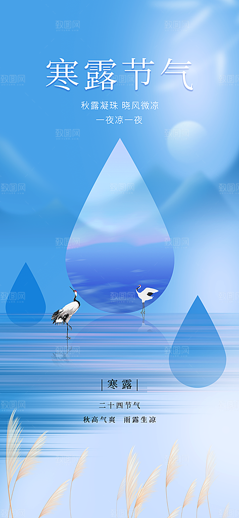 寒露节气简约大气海报