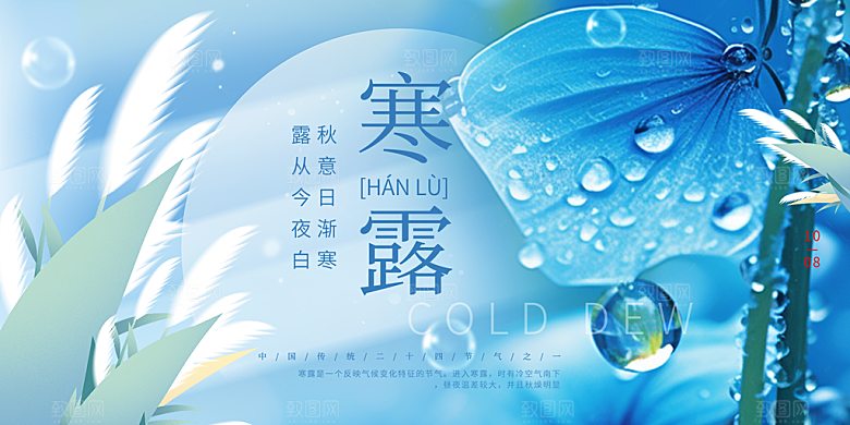 简约风传统寒露二十四节气展板