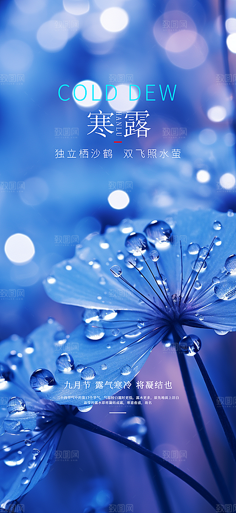 传统节气寒露海报模版