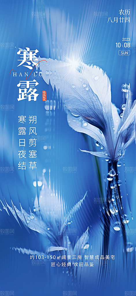 传统节气寒露海报模版