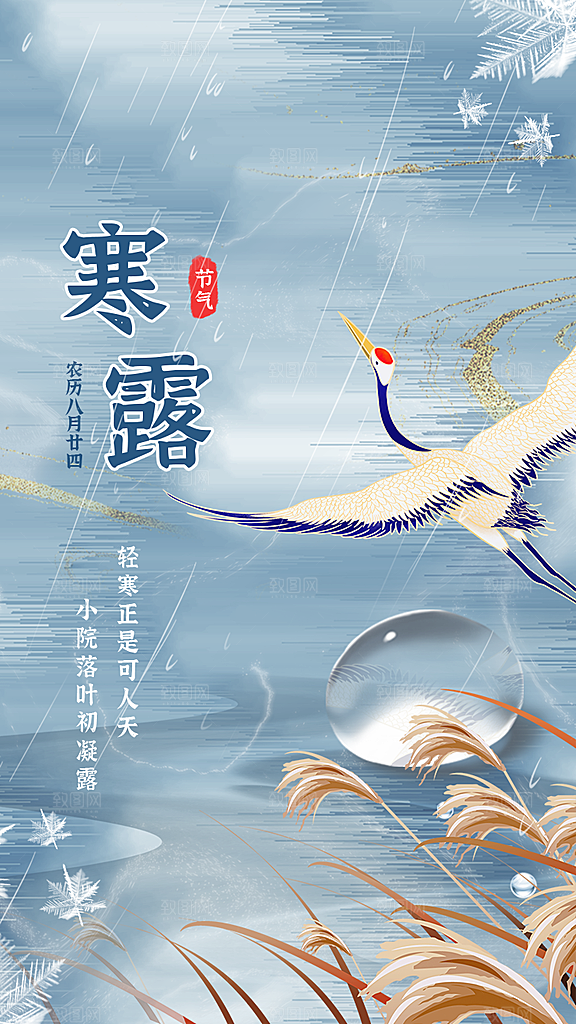 传统节气寒露海报模版