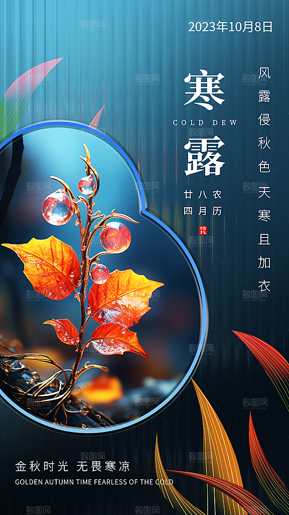 传统节气寒露海报模版