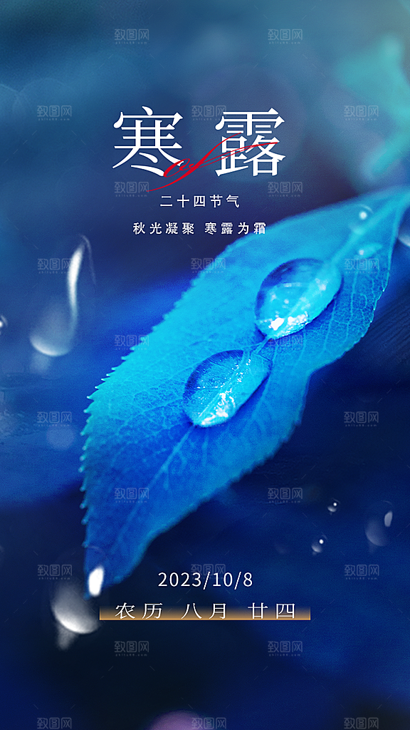 传统节气寒露海报模版