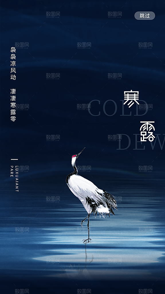 寒露节气简约大气海报