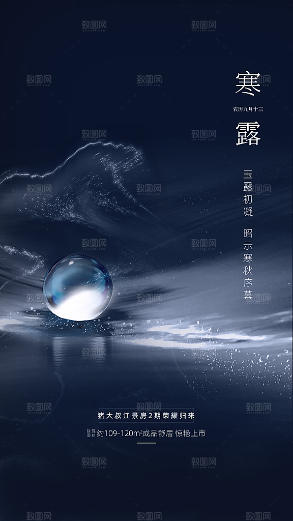 寒露节气简约大气海报