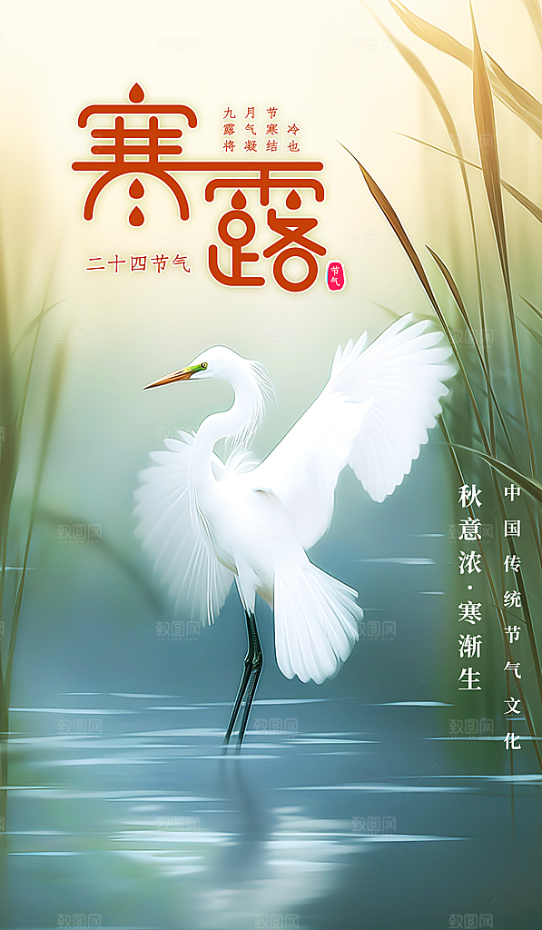 寒露节气简约大气海报