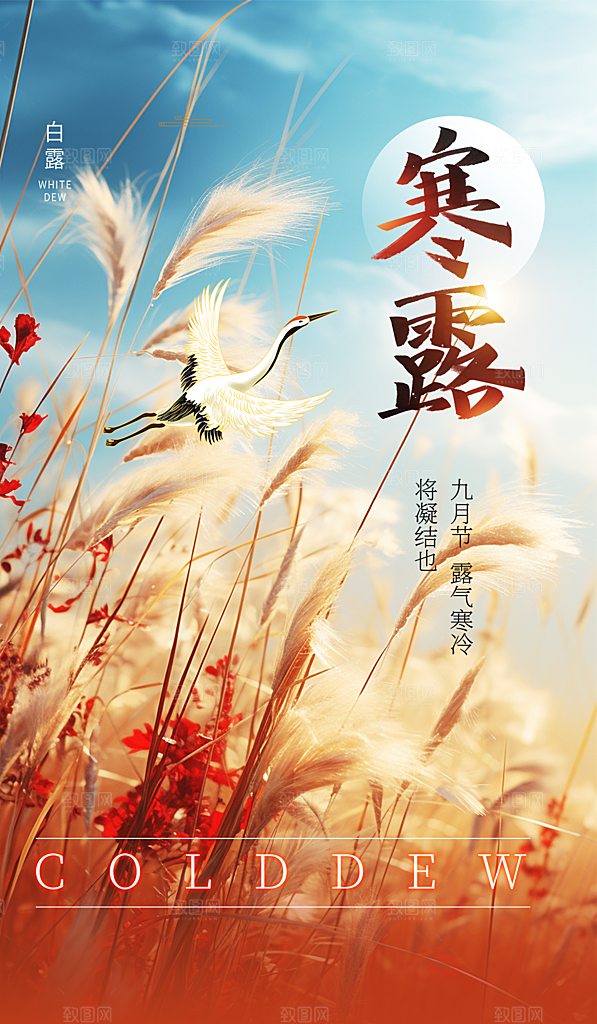 传统节气寒露海报模版