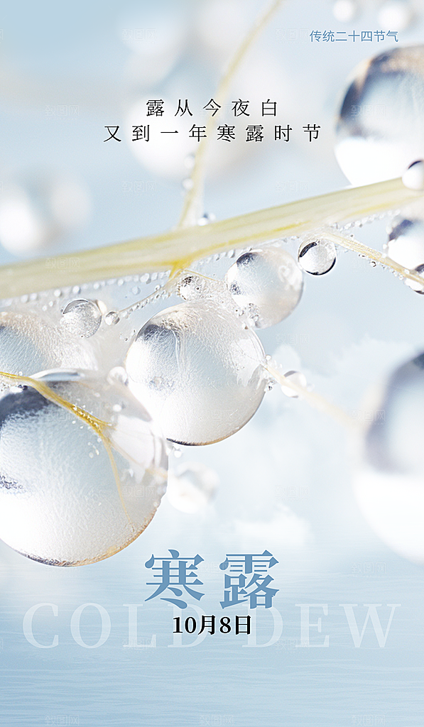 传统节气寒露海报模版
