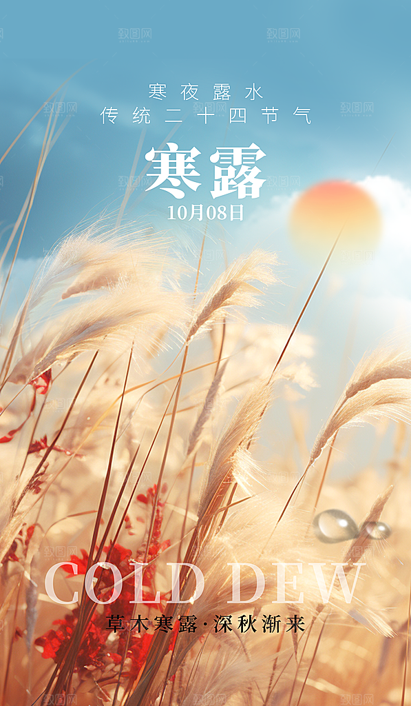 传统节气寒露海报模版