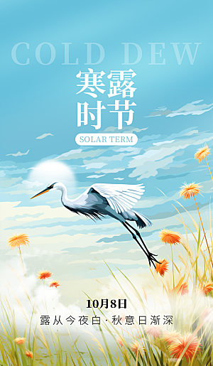 传统节气寒露海报模版