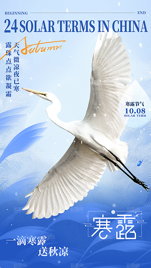 寒露节气简约大气海报