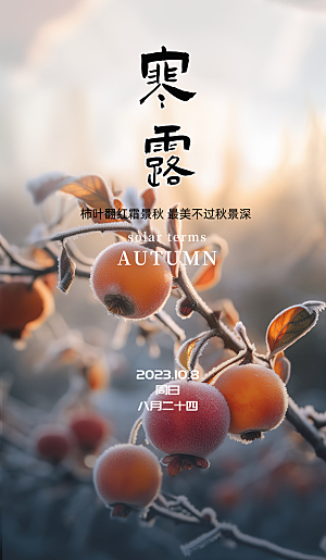 寒露节气简约大气海报