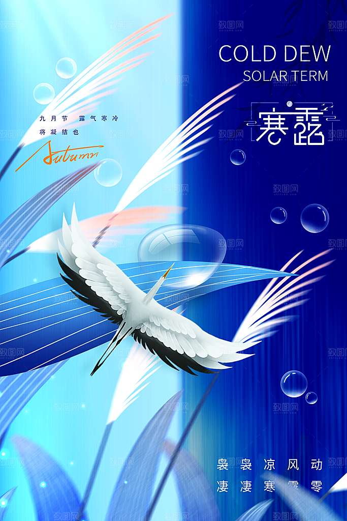 传统节气寒露海报模版