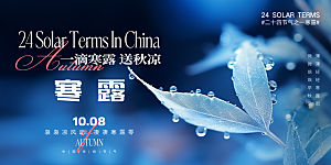 传统节气寒露海报模版