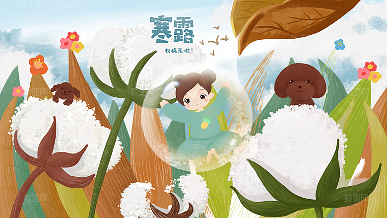 传统节气寒露海报模版