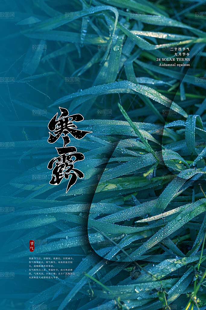 寒露节气简约大气海报