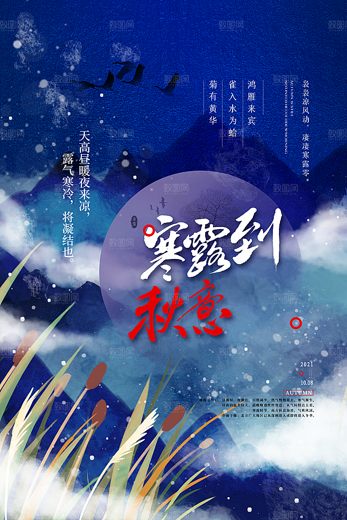 寒露节气简约大气海报