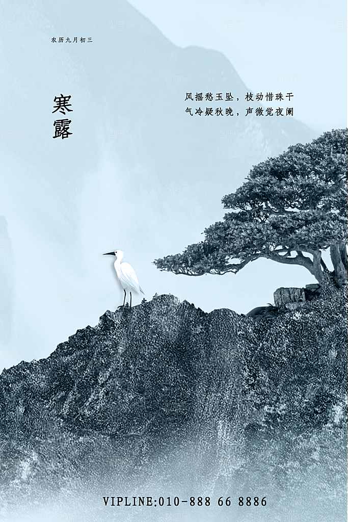 寒露节气简约大气海报