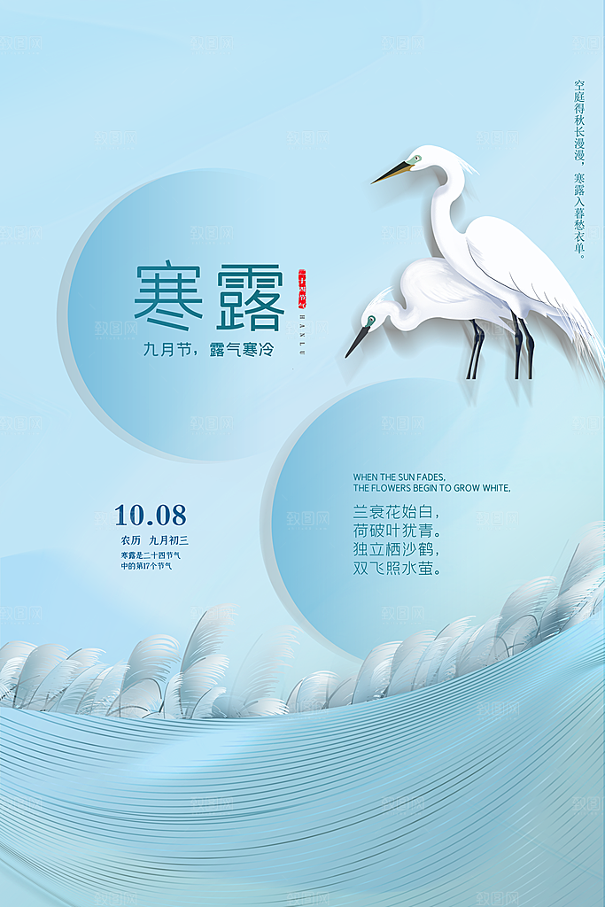寒露节气简约大气海报