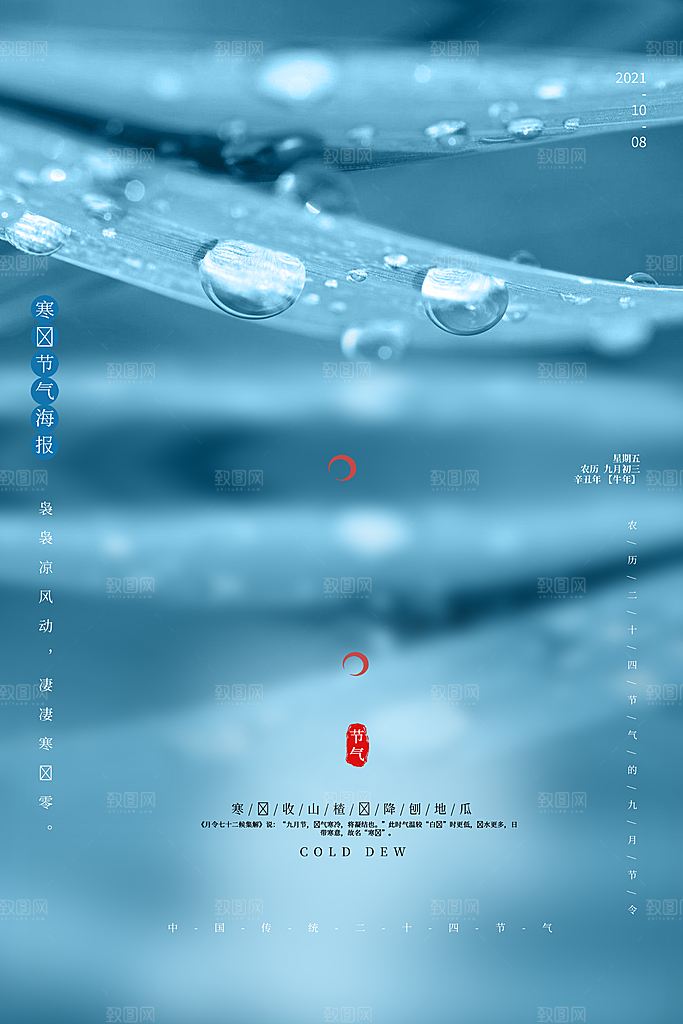 传统节气寒露海报模版