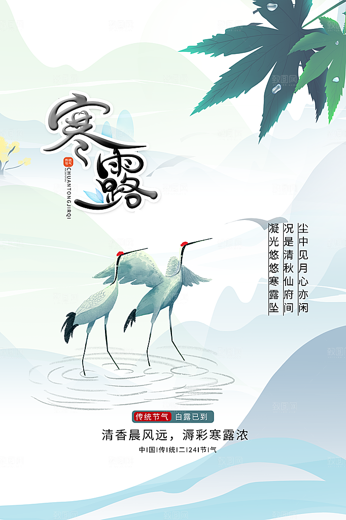 寒露节气简约大气海报