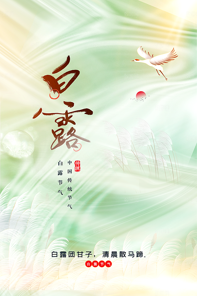 白露节气传统海报