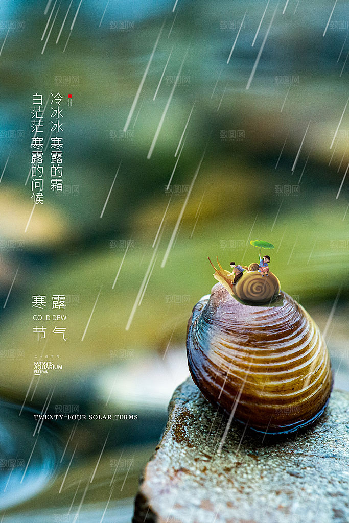 传统节气寒露海报模版