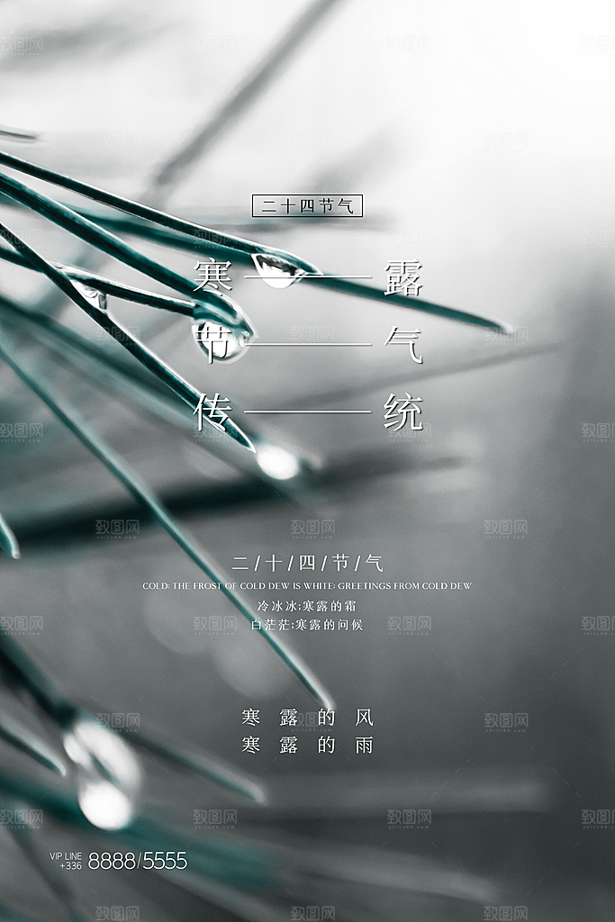 传统节气寒露海报模版