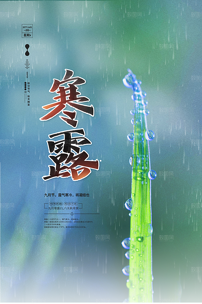寒露节气简约大气海报