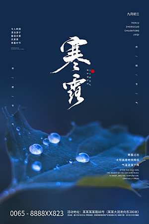 传统节气寒露海报模版