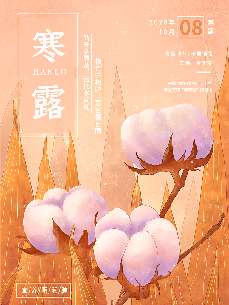 寒露节气简约大气海报