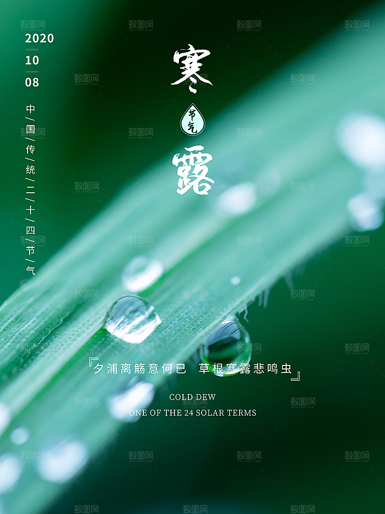 传统节气寒露海报模版