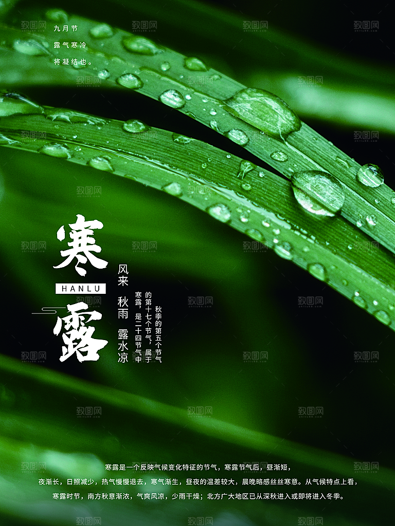 传统节气寒露海报模版