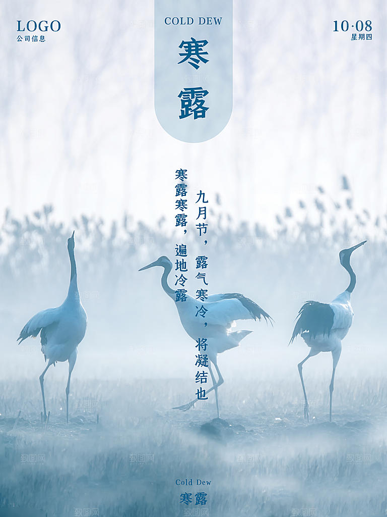 寒露节气简约大气海报