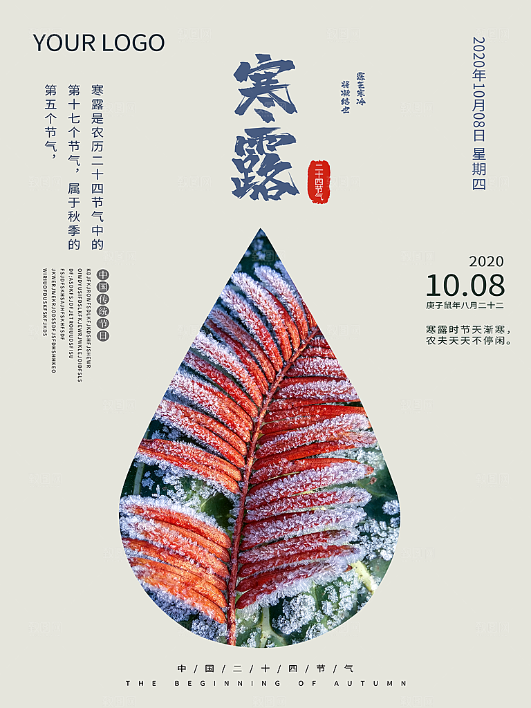 寒露节气简约大气海报