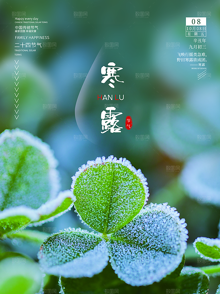 寒露节气简约大气海报