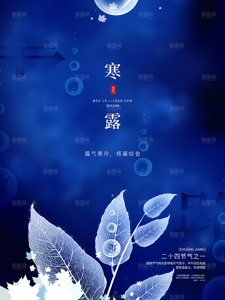 寒露节气简约大气海报