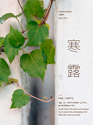 寒露节气简约大气海报