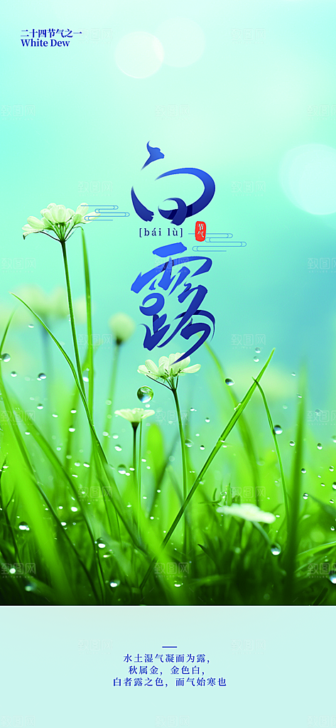 简约风传统白露二十四节气海报