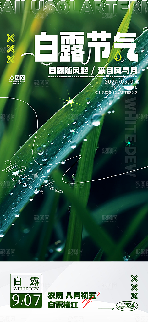 简约风传统白露二十四节气海报