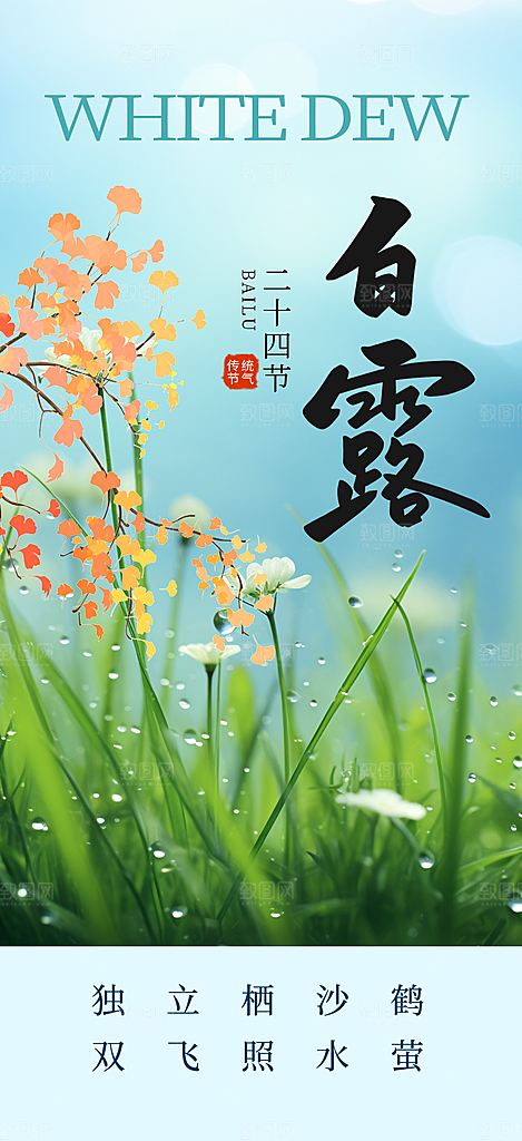 简约风传统白露二十四节气海报